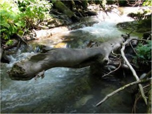 The Rzhanaya stream photographed in spring, running through rocky terrain